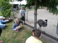 DSCN1068